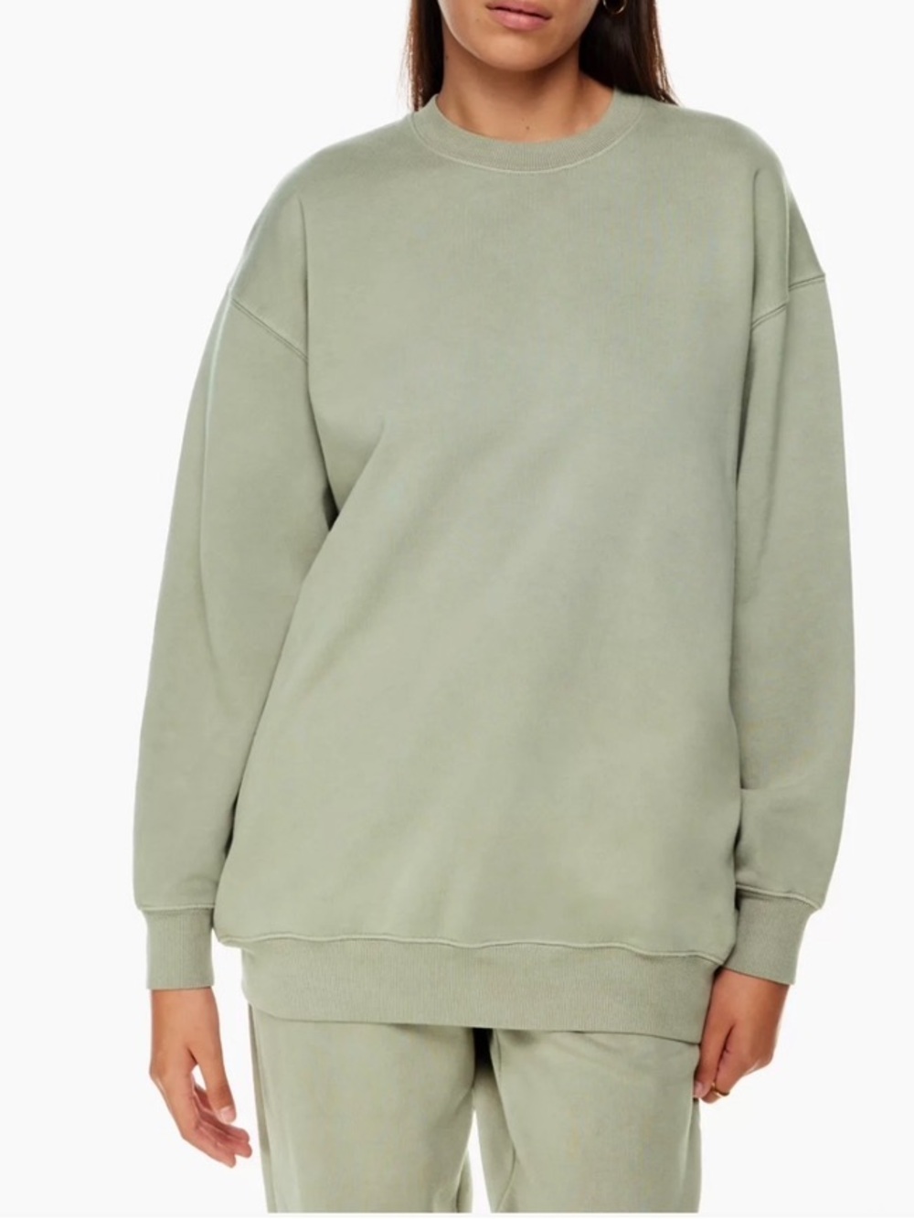 Aritzia Wilfred Free: Free Fleece Oversized Crew Sweatshirt